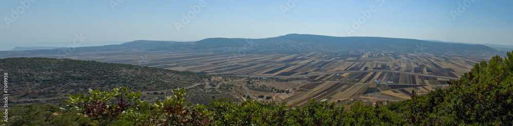 Harvest fields, Galilee, Israel