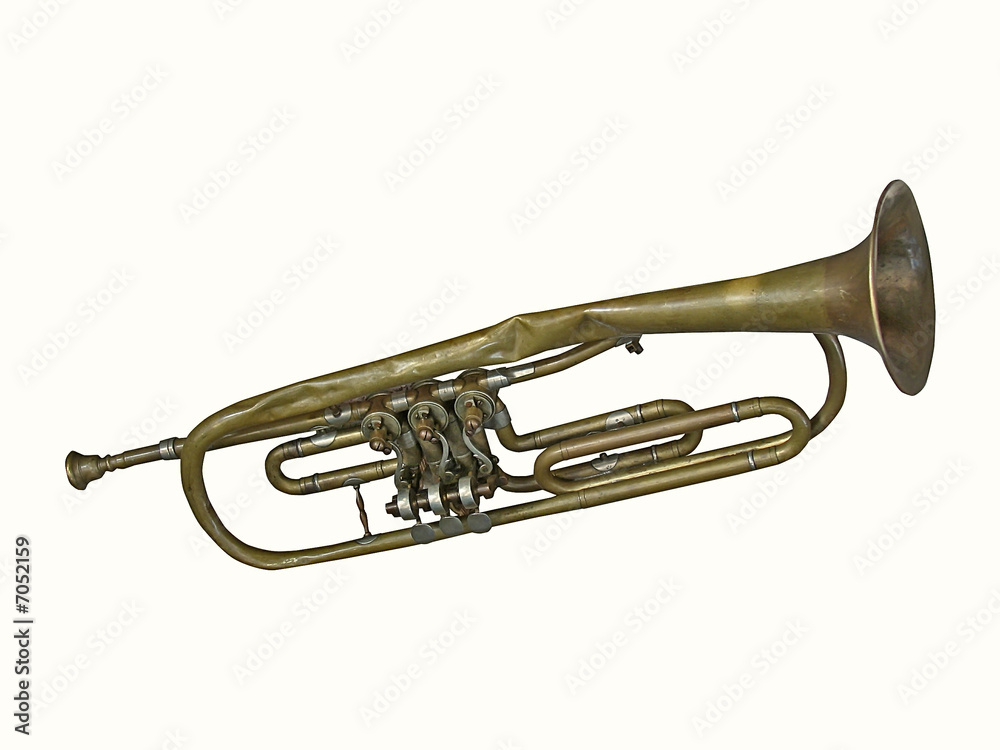 Fototapeta premium trumpet