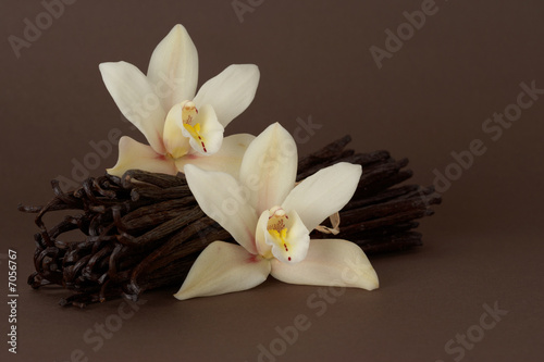 vanilla beans with flowers