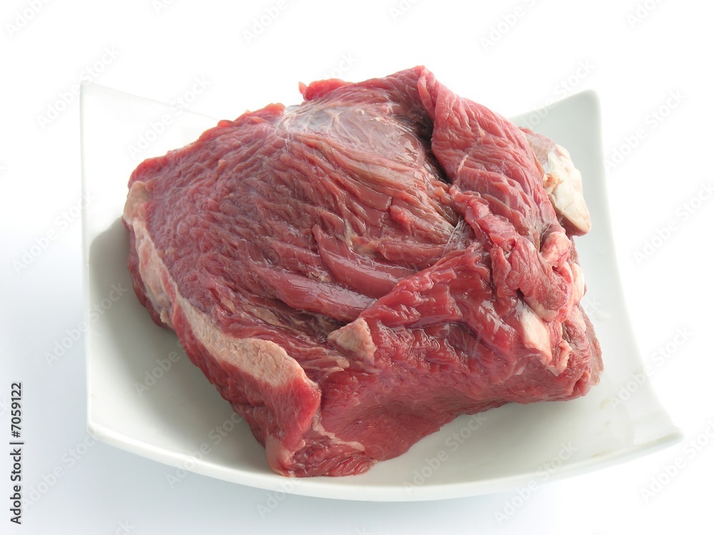 piece of shin of beef