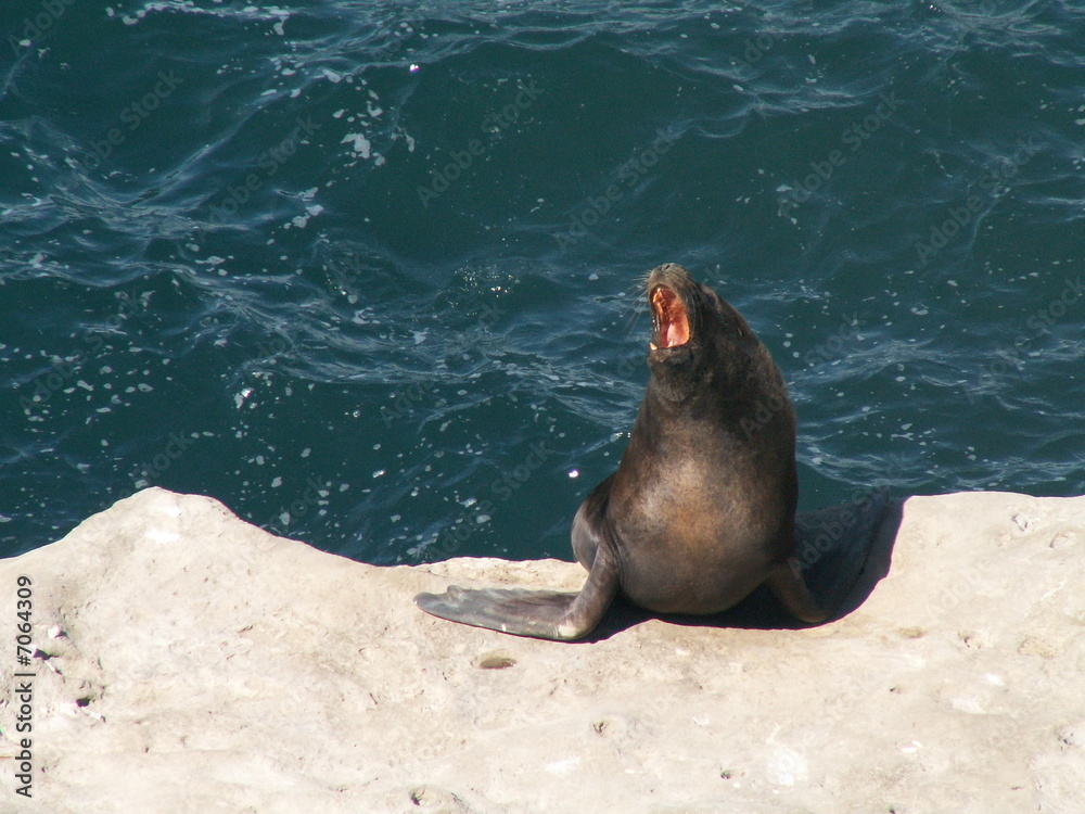 Obraz premium KONICA MINOLTA DIGITAL CAMERA