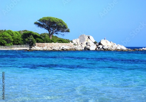 Plage palombaggia