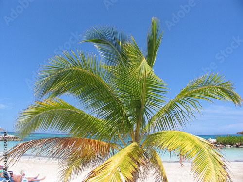 Jamaican Sun