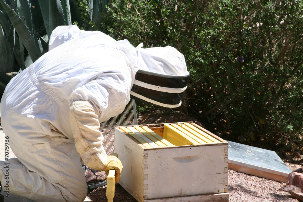 Beekeeper Beekeeper