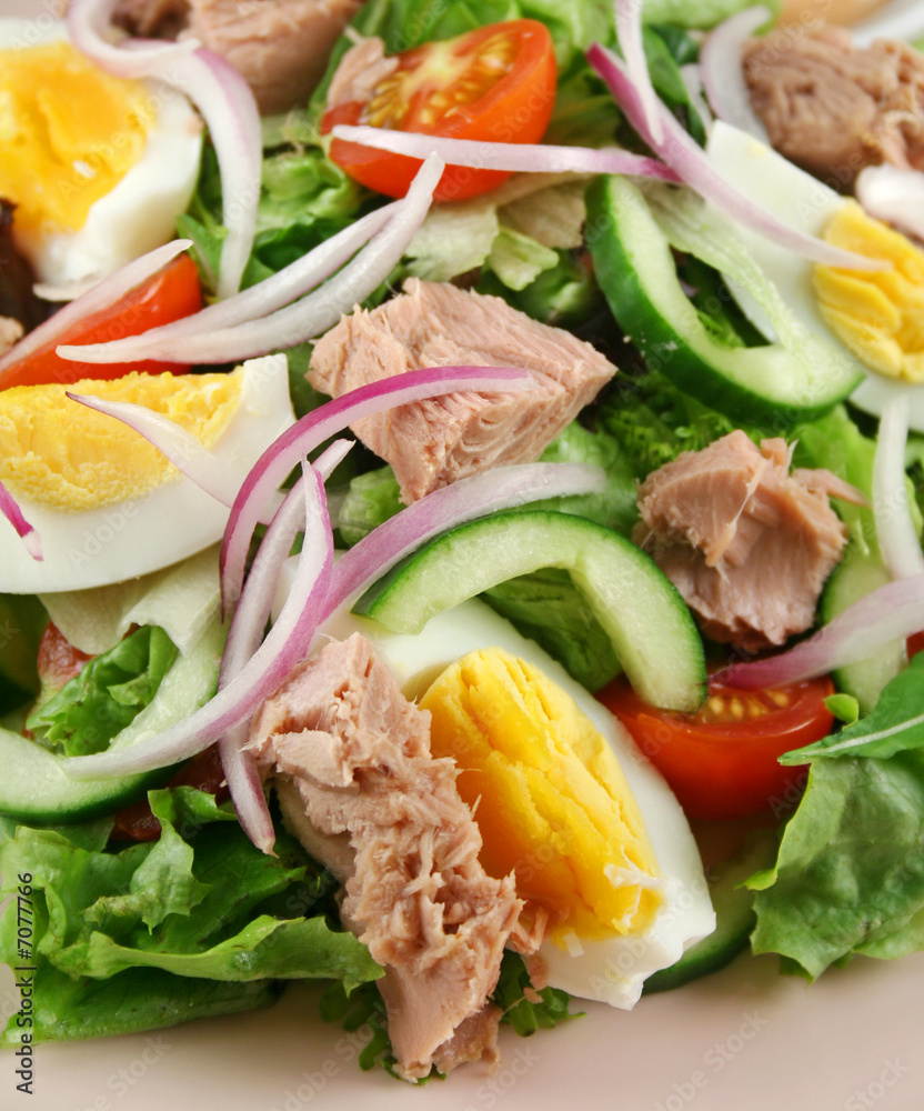 Tossed Tuna And Egg Salad Tossed Tuna And Egg Salad