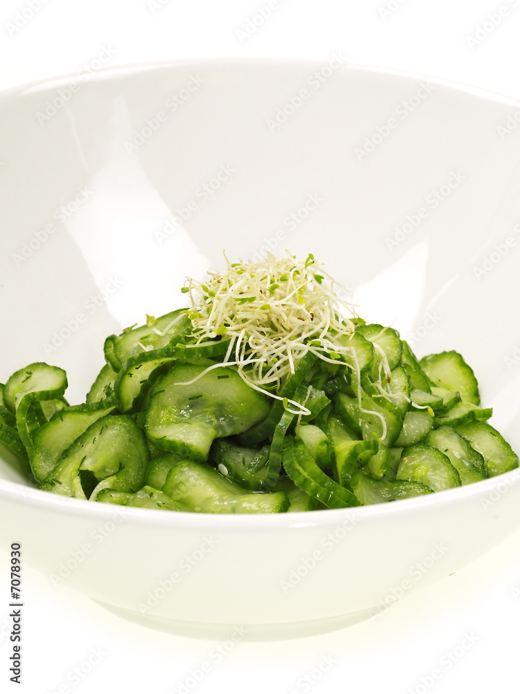 schlankmacher gurken salat schlankmacher gurken salat