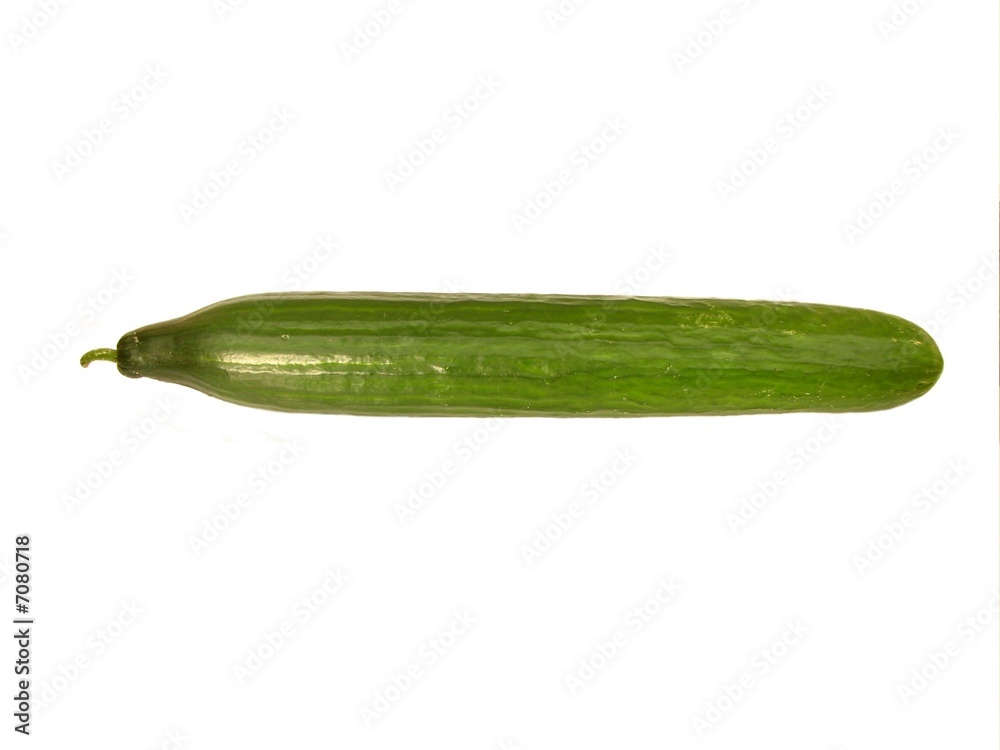 Concombre Concombre