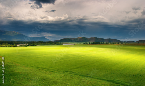 Green field photo