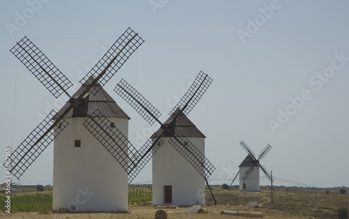 mancha mulini