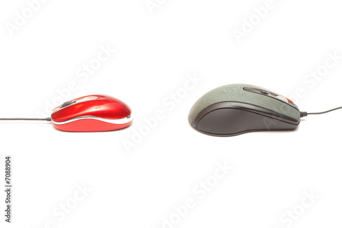 red mouse vs grey mouse 2