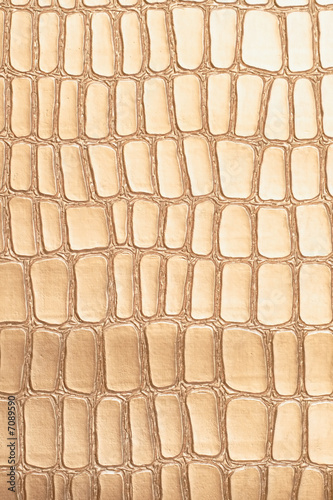 crocodile leather texture to serve as background