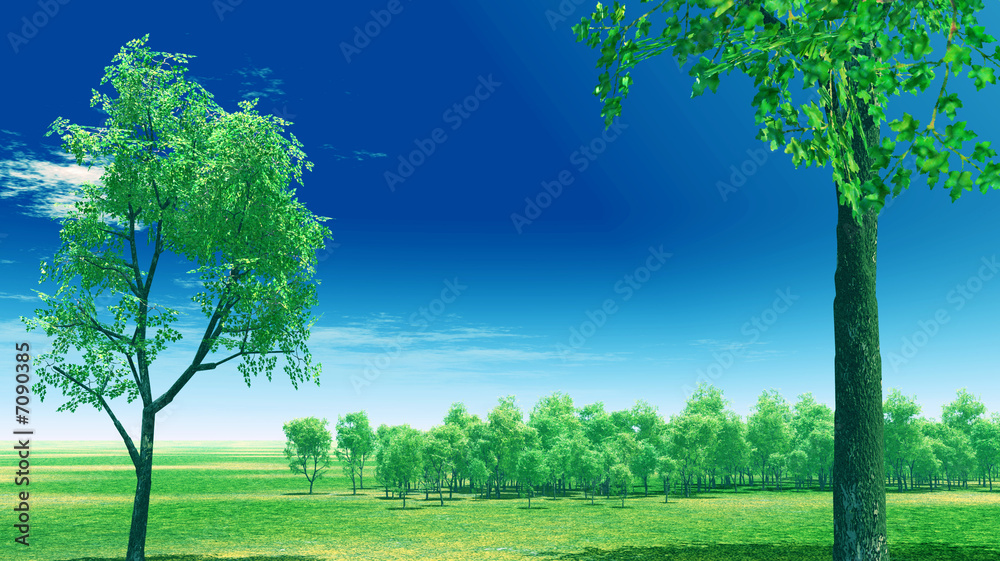 Obraz premium Spring scenery