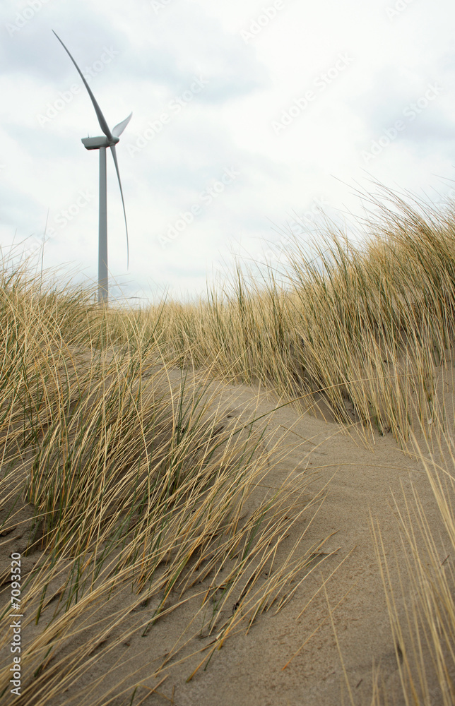 Fototapeta premium Windturbine