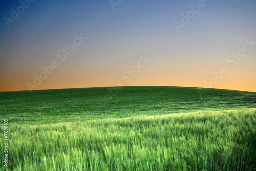 Camino de la Hacienda Montija  Huelva.