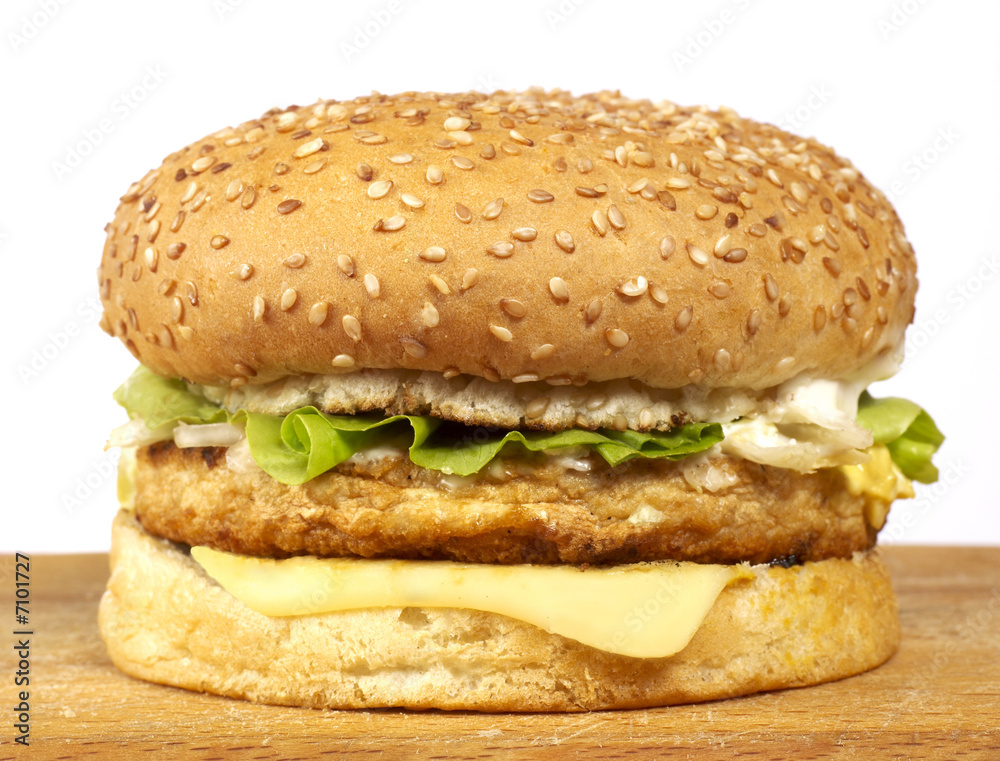 Burger series Burger series