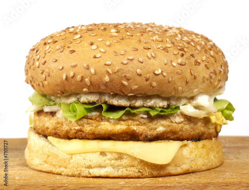 Burger series
