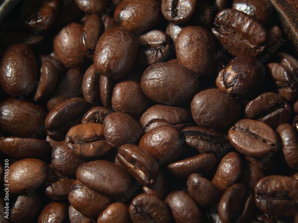 Naklejka premium Coffee Beans