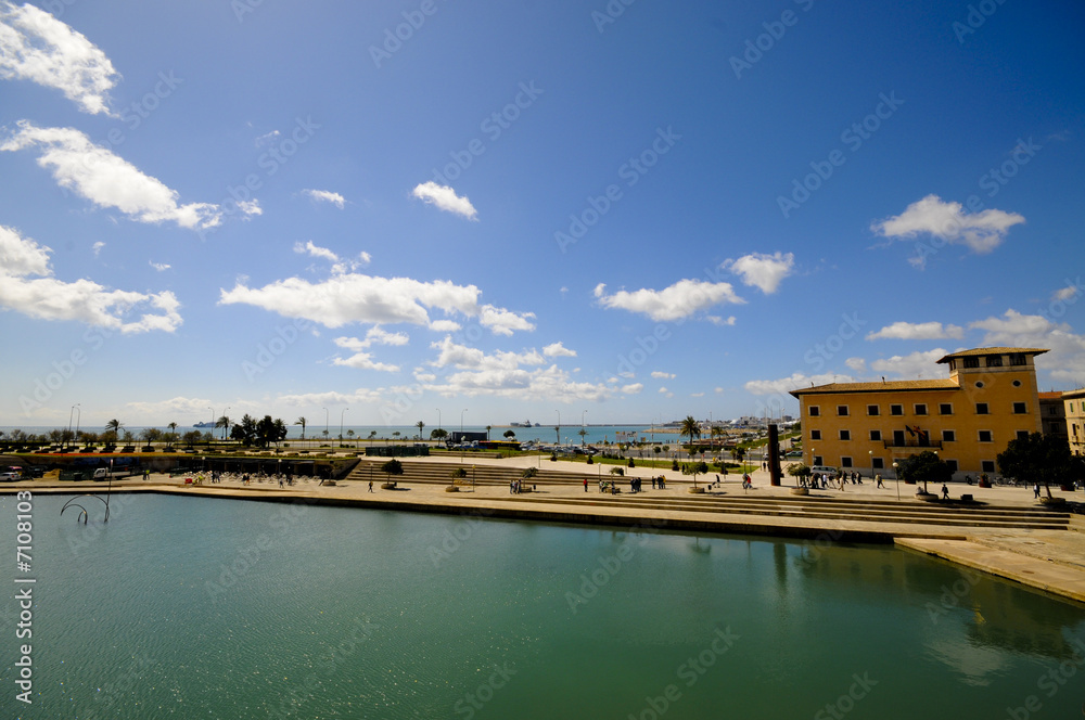 Naklejka premium Palma