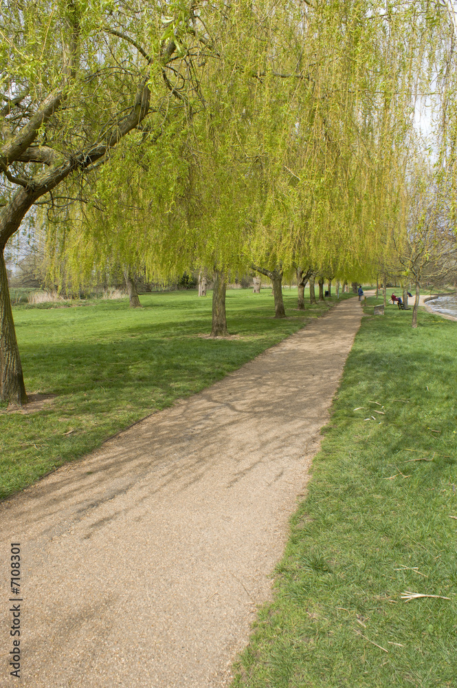 Fototapeta premium river avon