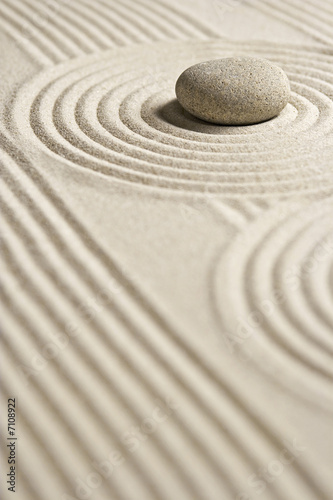 Photography Mini zen garden