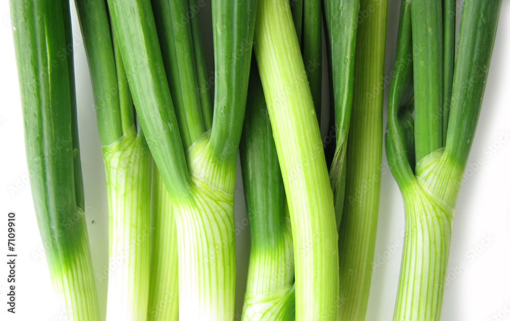 Fototapeta premium Scallion green spring onion