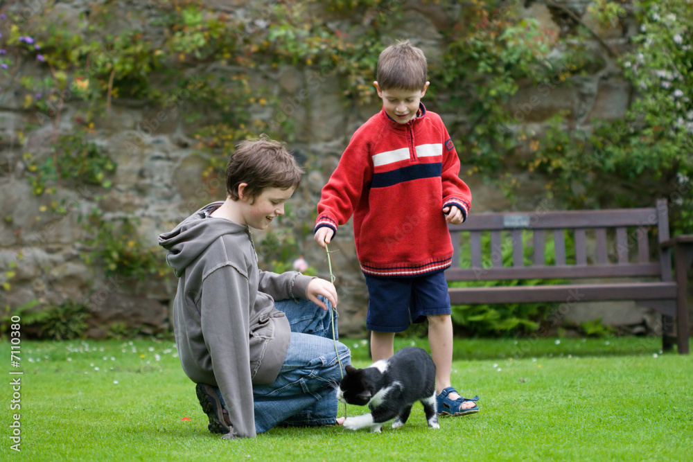 Boys playing with a cat Boys playing with a cat
