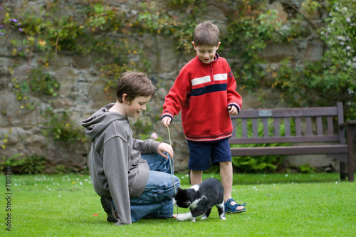 Boys playing with a cat