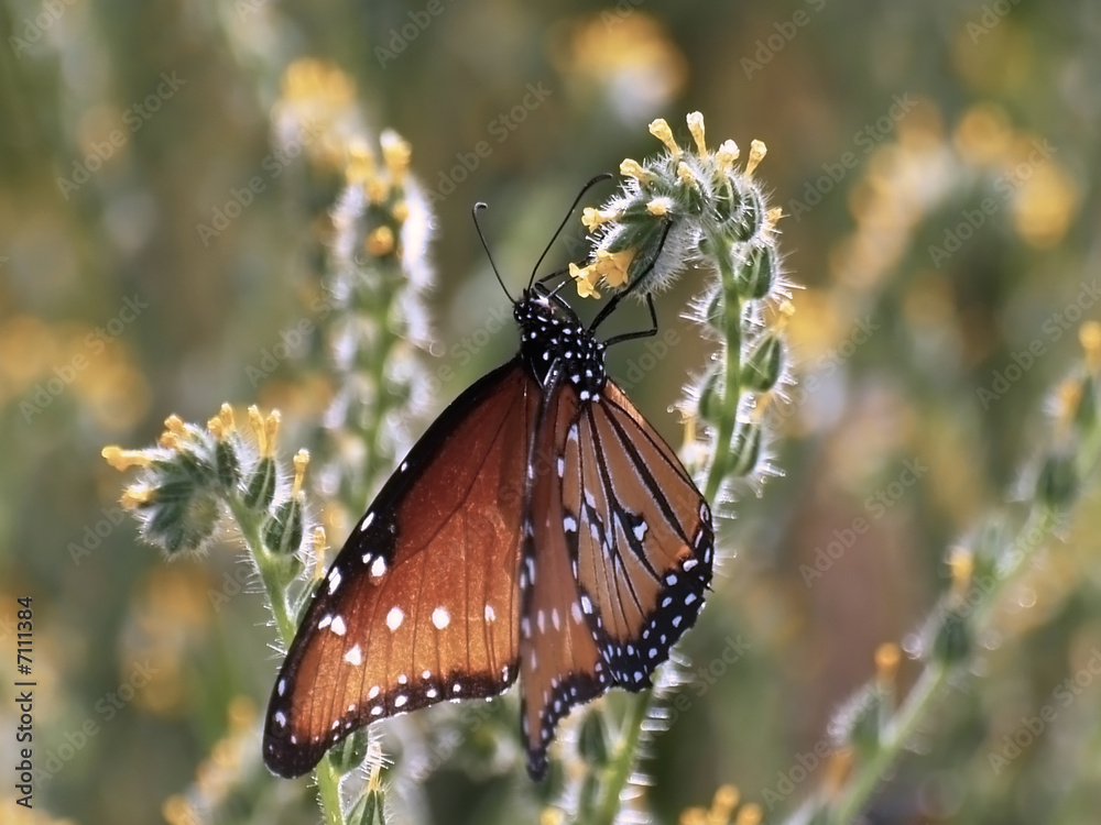 Obraz premium Travel Stop