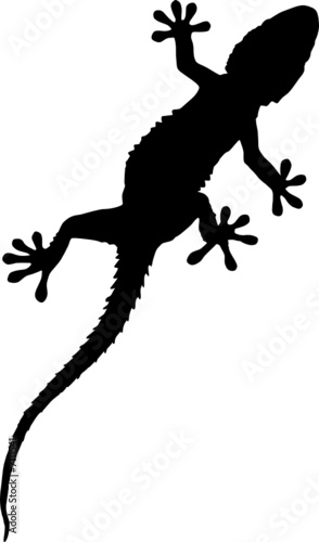vektor