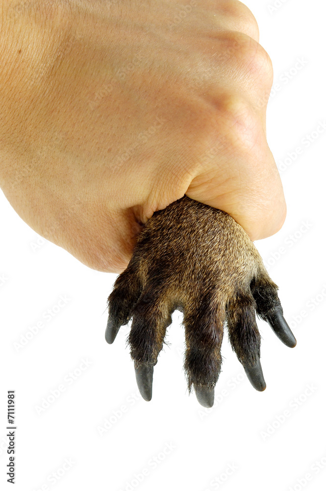 Obraz premium Don't touch