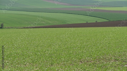 Grands espaces agricoles