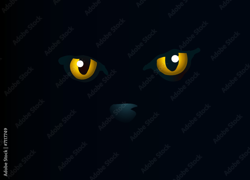 yeux dans la nuit yeux dans la nuit