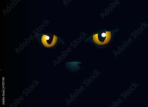 yeux dans la nuit