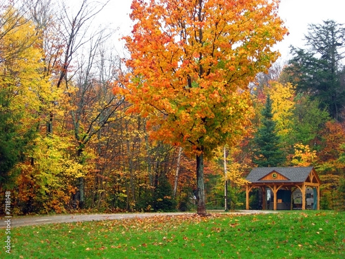 Autumn scenery