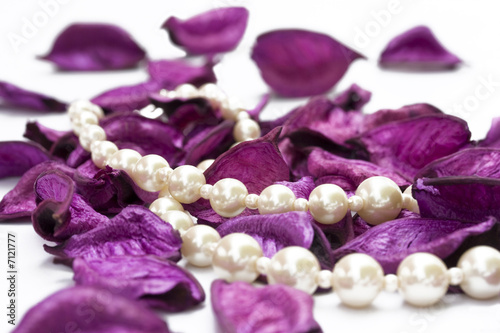 pearls on purple petals