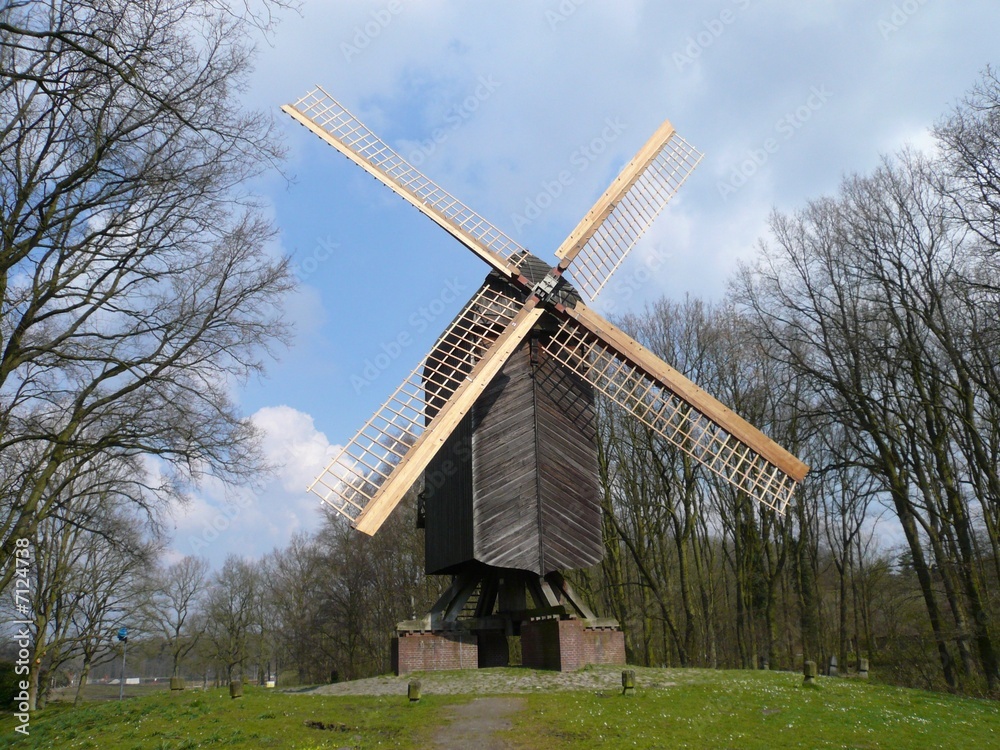Obraz premium Windmühle