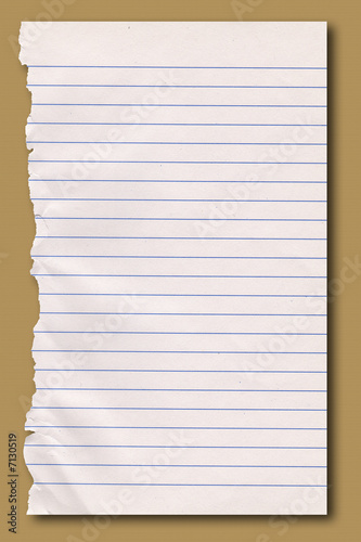 Sheet of ripped notepaper.