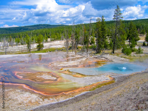 hot springs in Yellowstone national park