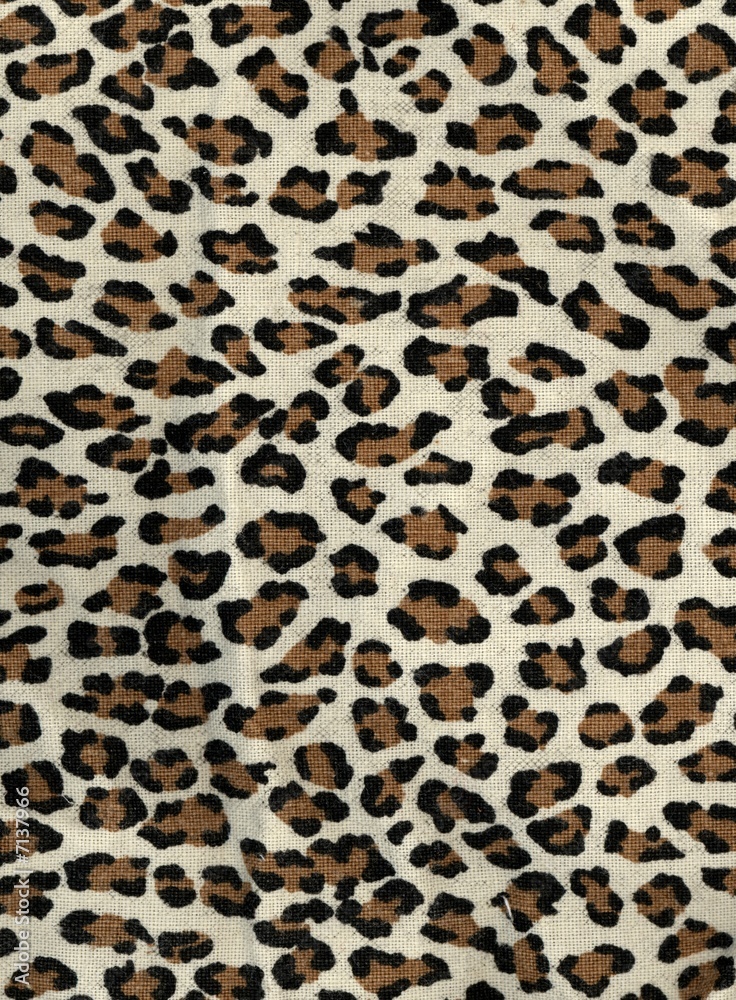 leopard spots and dots leopard spots and dots