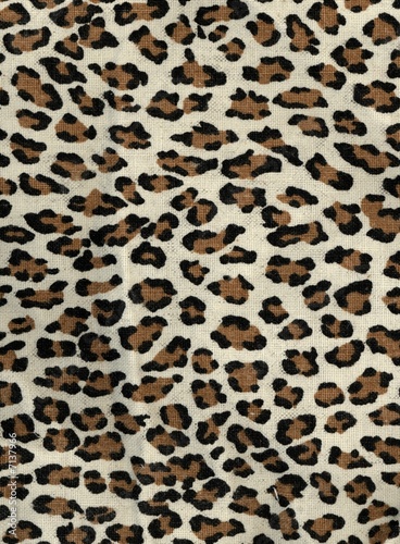 leopard spots and dots