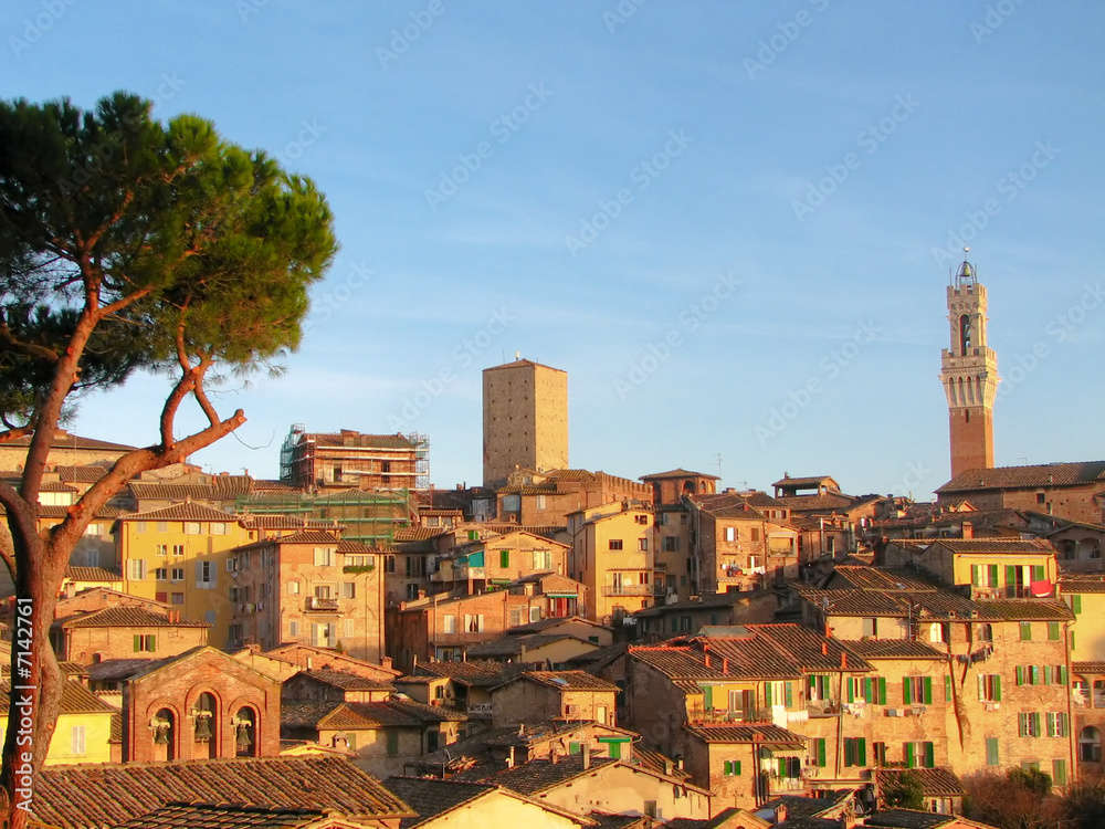 historical city of sienna during sunset