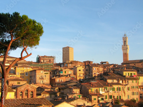 historical city of sienna during sunset