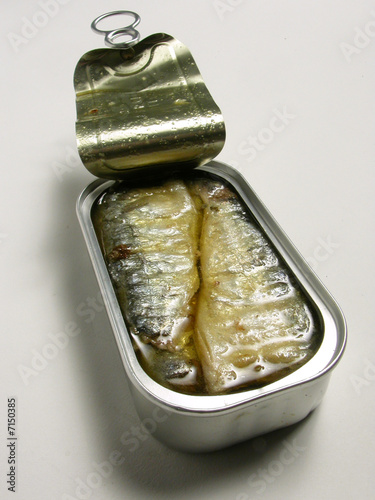 Scatoletta di sardine