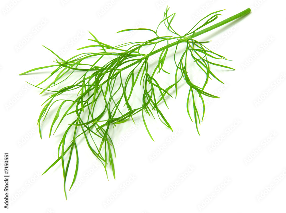 dill dill