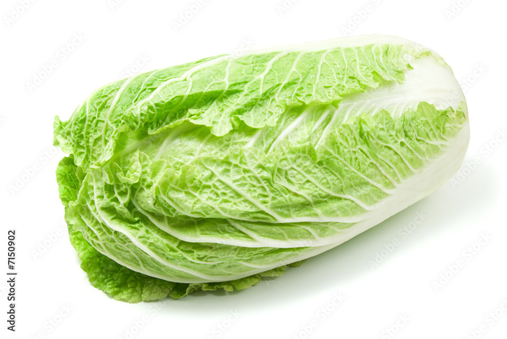 cabbage cabbage