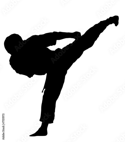 Fotografi Karate