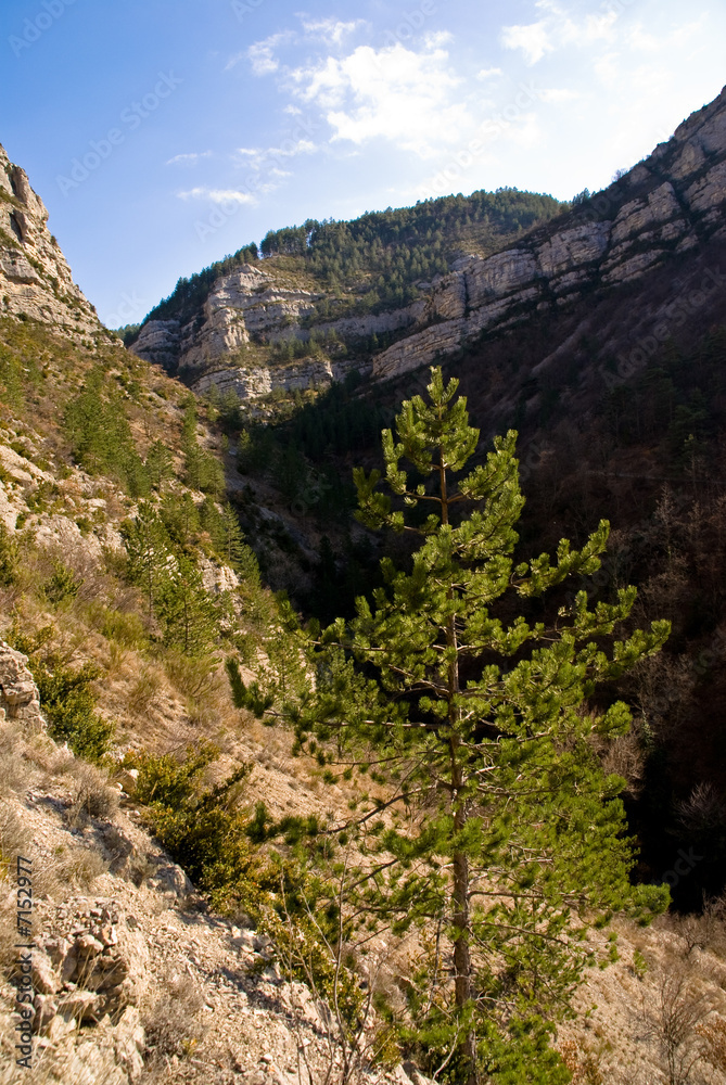 Paysage de la Drôme provençale Paysage de la Drôme provençale