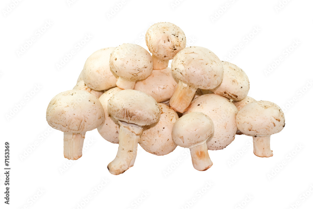 Button mushrooms Button mushrooms