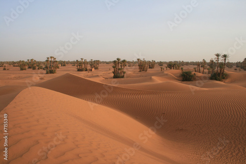 Dunes du Sahara marocain
