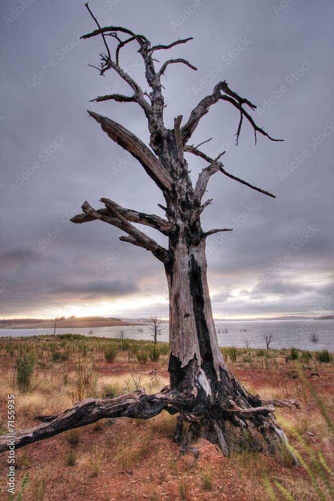 Lake Ecumbene